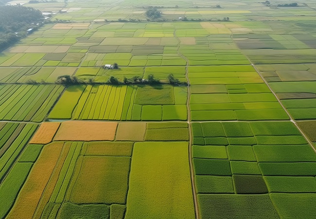 【政策解讀】2023年智慧農業應該這么干（中央一號文件）