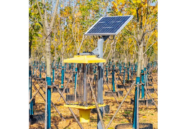 太陽能殺蟲燈應用意義