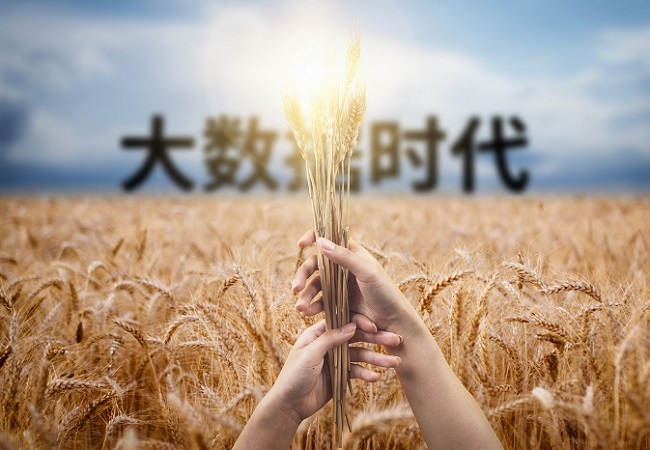 大數據廣泛應用于智慧農業領域