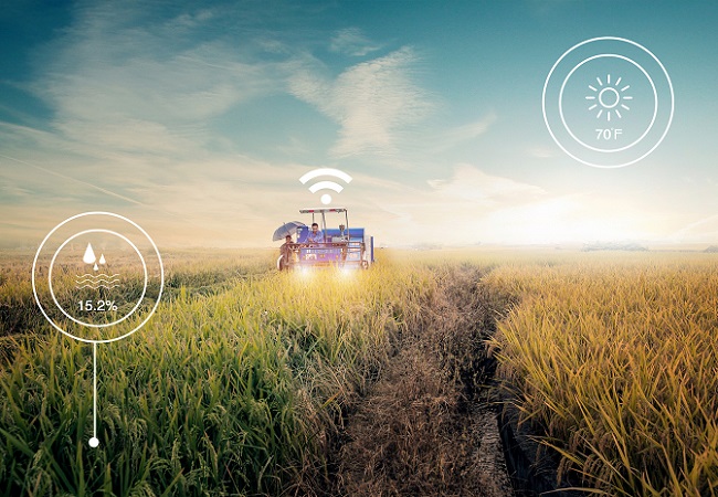 全息種植技術在智慧農業的應用