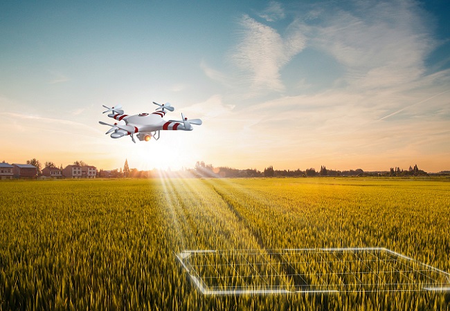 智慧農業應用全息種植技術