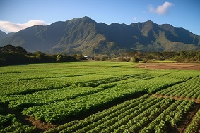 太陽(yáng)能殺蟲燈多少錢一臺(tái)