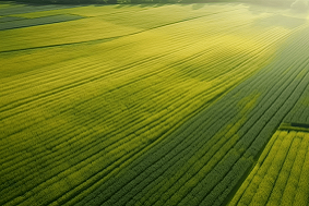 高標準農田建設的6個模式