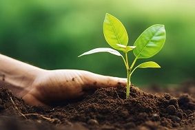 土壤墑情自動監測站介紹