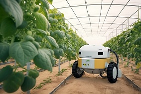 王羽強在敖勒召其鎮調研智慧農業和集體經濟發展