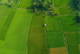 建設高標準農田的標準是什么？