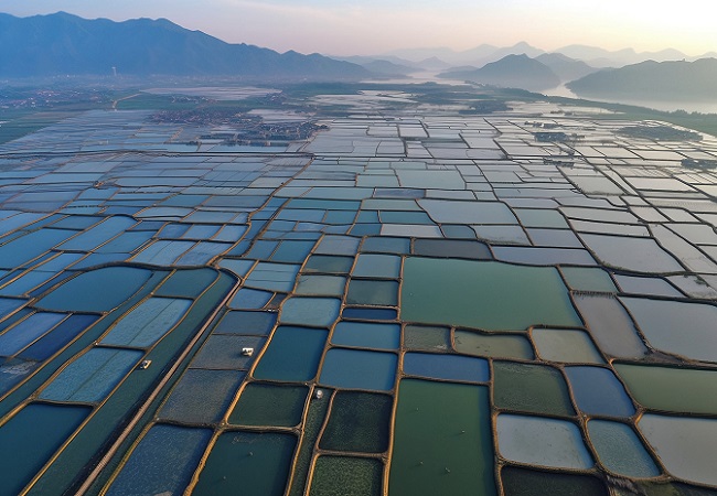 水產養殖.jpg