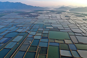 水產(chǎn)養(yǎng)殖管理系統(tǒng)特點(diǎn)介紹