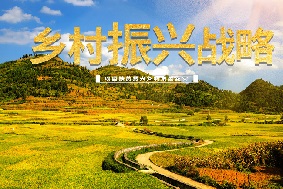 吉林：智慧農業為鄉村振興賦能增效